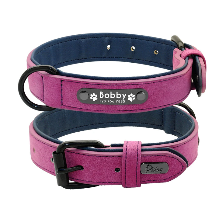 Dog Collars Personalized