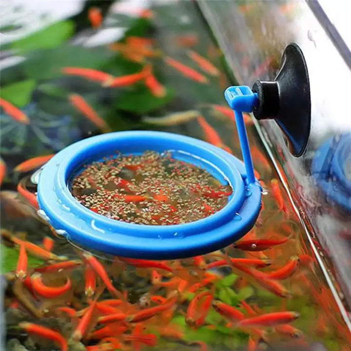 Fish Accessories Feeder Station Floating Square/Circle