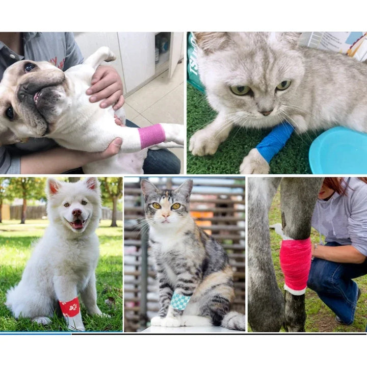 Cloth Straps for Cats and Dogs