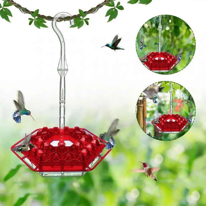 Hummingbird Feeders for Outdoors