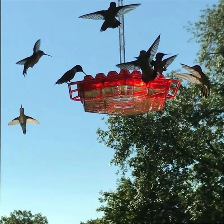 Hummingbird Feeders for Outdoors