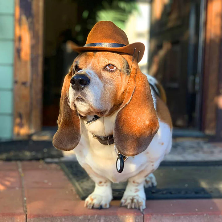 Pet Cowboy Hat