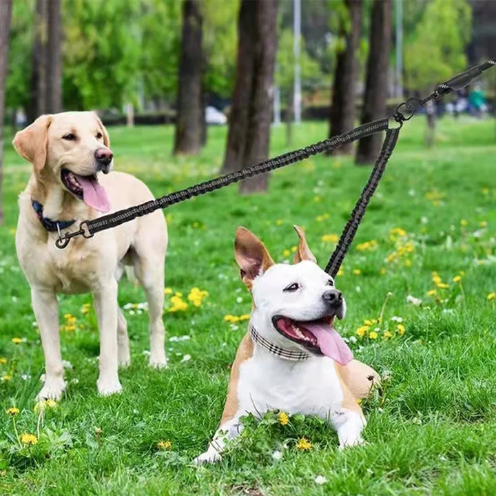 2 Way Couplers Dog Leash