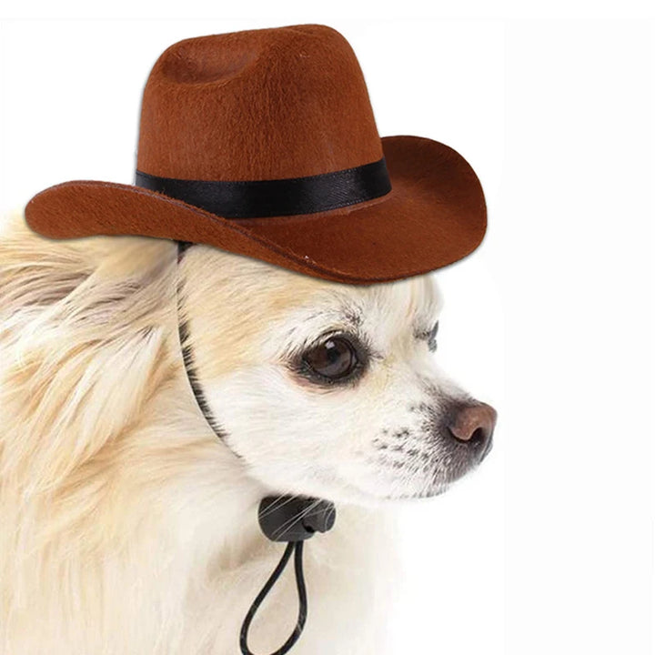 Pet Cowboy Hat