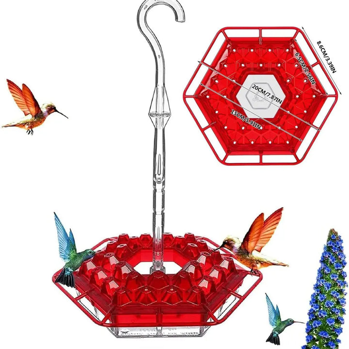 Hummingbird Feeders for Outdoors