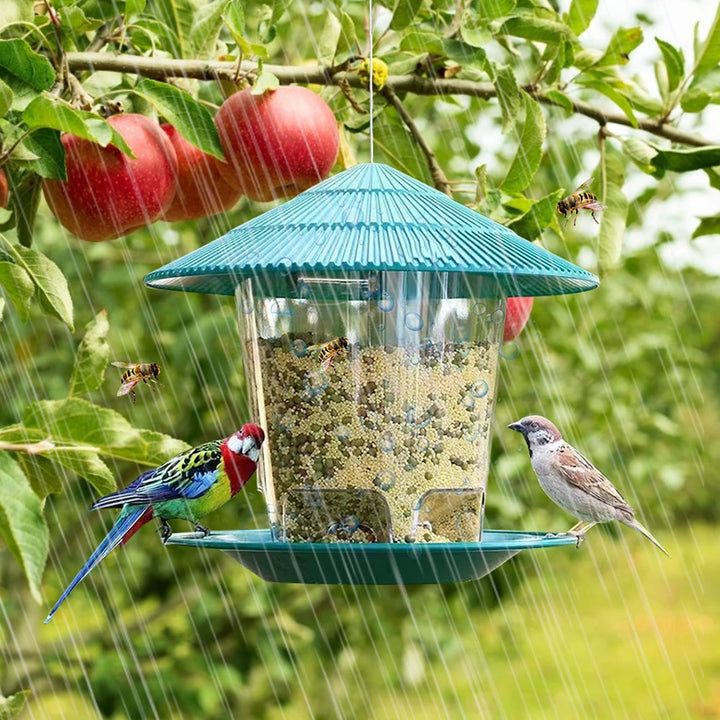 Bird Feeder Automatic Foot Feeding Tool Outdoor