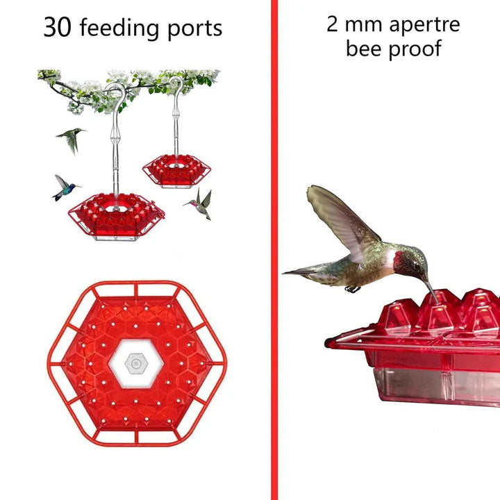 Hummingbird Feeders for Outdoors