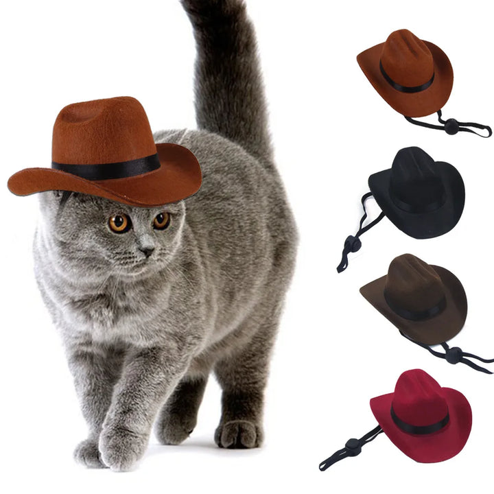 Pet Cowboy Hat