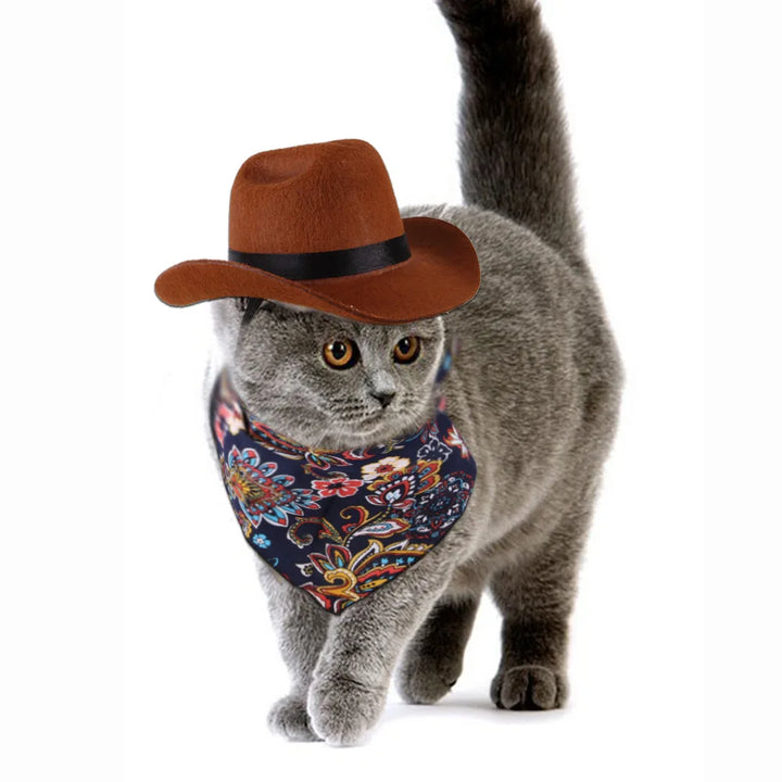 Pet Cowboy Hat